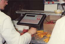 Terminals and computers for abattoirs